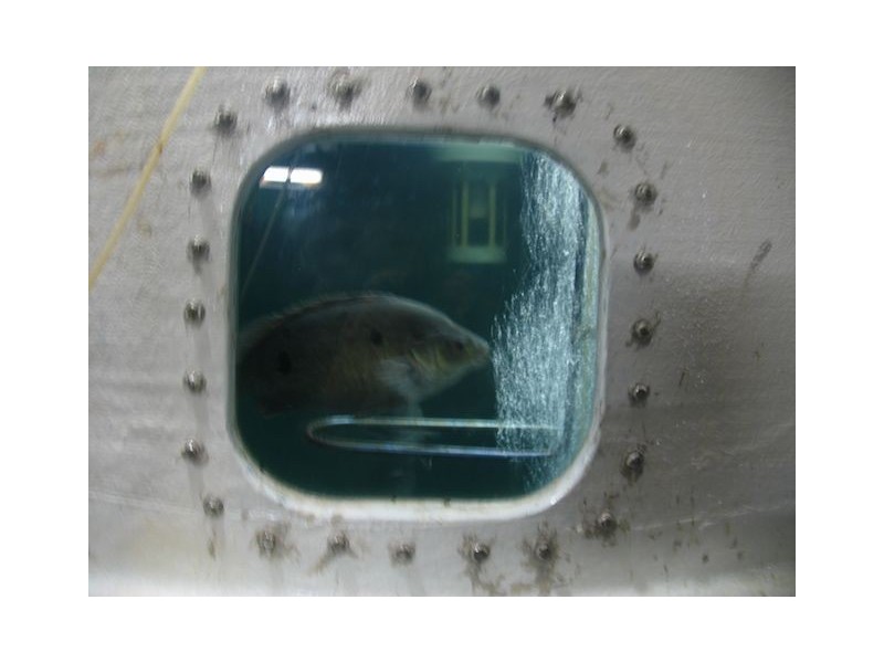 168 Stoney Creek Road, Kuranda QLD 4881