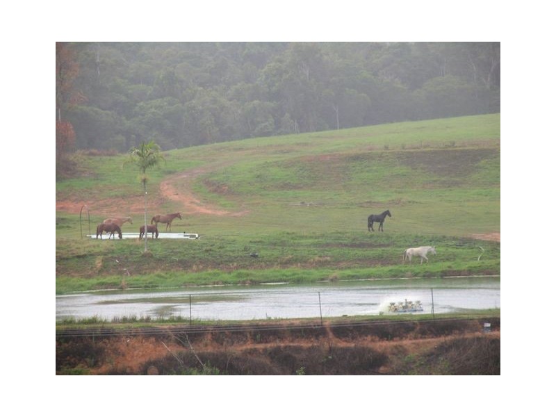 168 Stoney Creek Road, Kuranda QLD 4881