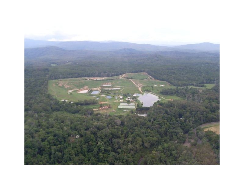 168 Stoney Creek Road, Kuranda QLD 4881