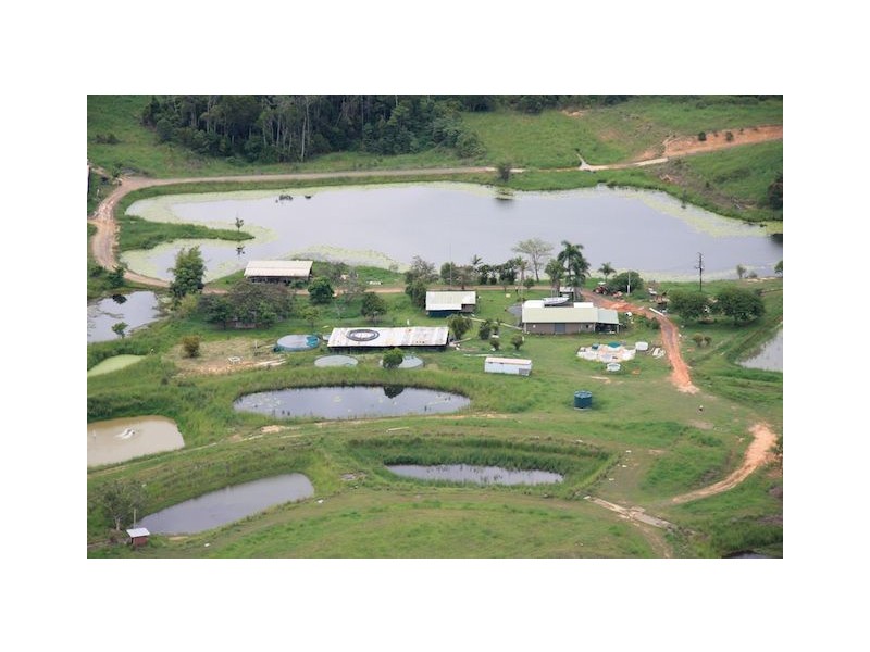 168 Stoney Creek Road, Kuranda QLD 4881