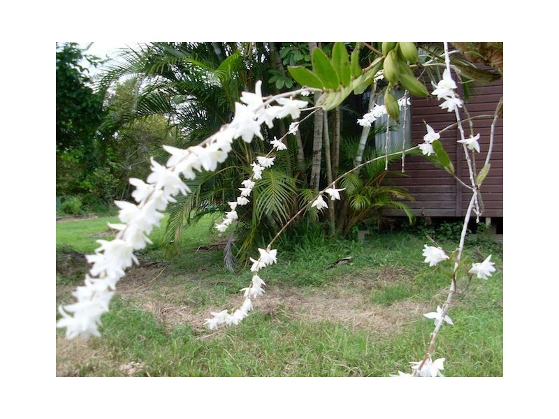 168 Stoney Creek Road, Kuranda QLD 4881