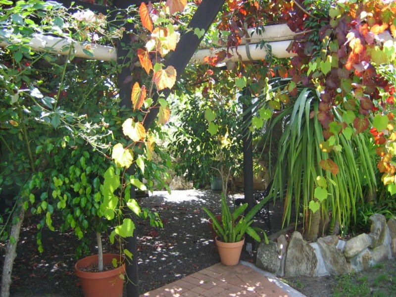 12/53 Tarbuck Park Rod, Tarbuck Bay NSW 2428