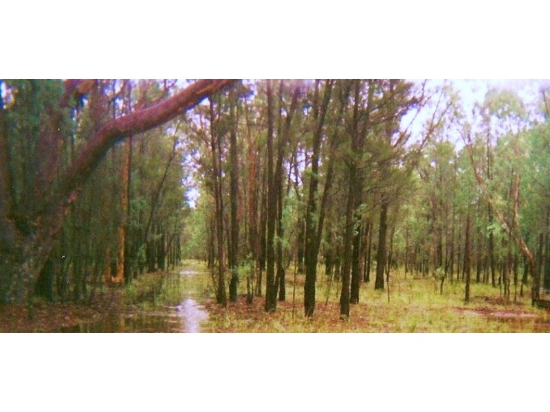 2 Gardenia Crescent, Millmerran QLD 4357