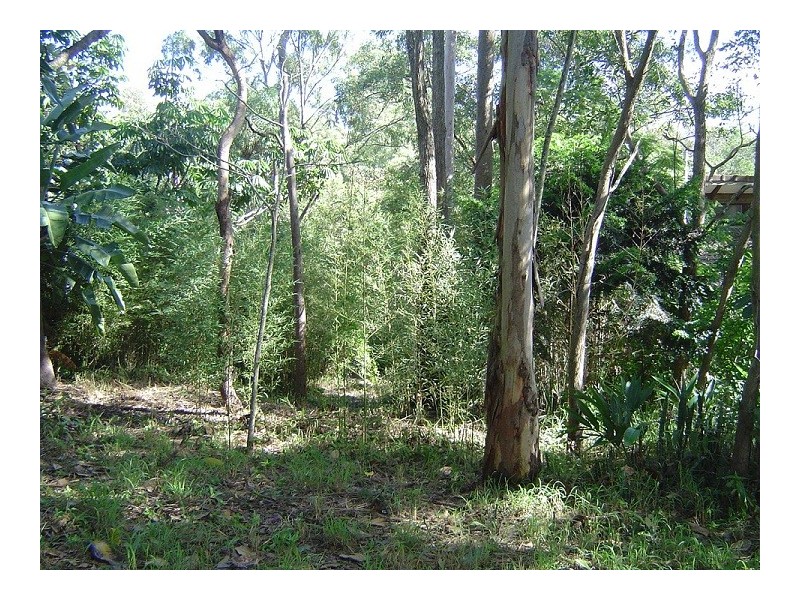 50 Twelfth Avenue, St Lucia QLD 4067