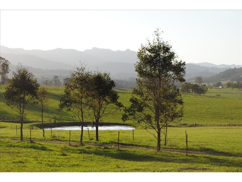 260 Wherrol Flat Road, Wingham NSW 2429