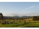 260 Wherrol Flat Road, Wingham NSW 2429