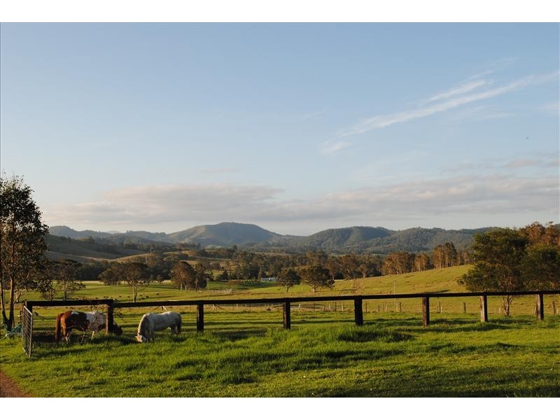 260 Wherrol Flat Road, Wingham NSW 2429