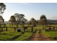 260 Wherrol Flat Road, Wingham NSW 2429