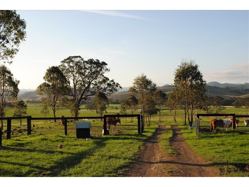 260 Wherrol Flat Road, Wingham NSW 2429
