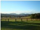 260 Wherrol Flat Road, Wingham NSW 2429
