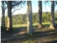 260 Wherrol Flat Road, Wingham NSW 2429