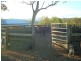 260 Wherrol Flat Road, Wingham NSW 2429