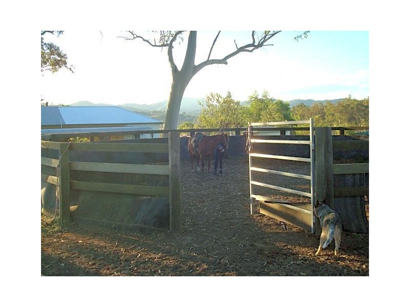 260 Wherrol Flat Road, Wingham NSW 2429
