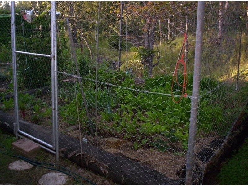 61 Wandin Road, Withcott QLD 4352