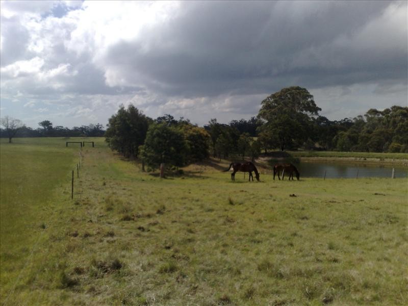 198 Foxgrove Road, Canyonleigh NSW 2577