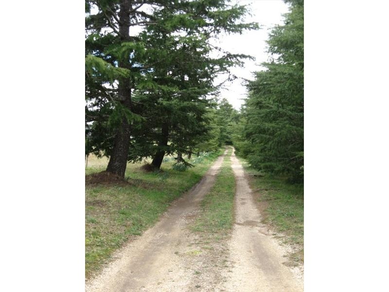 198 Foxgrove Road, Canyonleigh NSW 2577