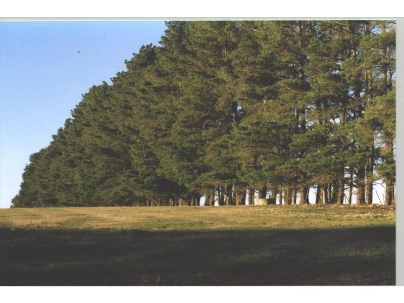 198 Foxgrove Road, Canyonleigh NSW 2577