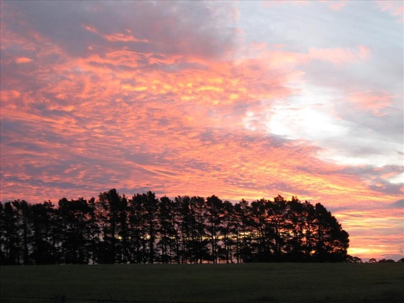 198 Foxgrove Road, Canyonleigh NSW 2577