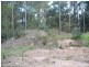 31 Waratah Street, Bowen Mountain NSW 2753