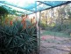 125 Grawin Opal Field, Walgett NSW 2832