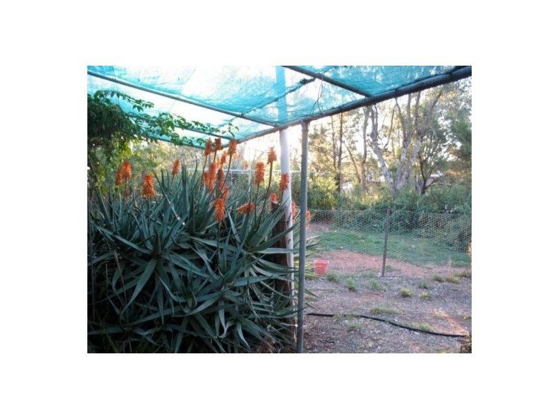 125 Grawin Opal Field, Walgett NSW 2832