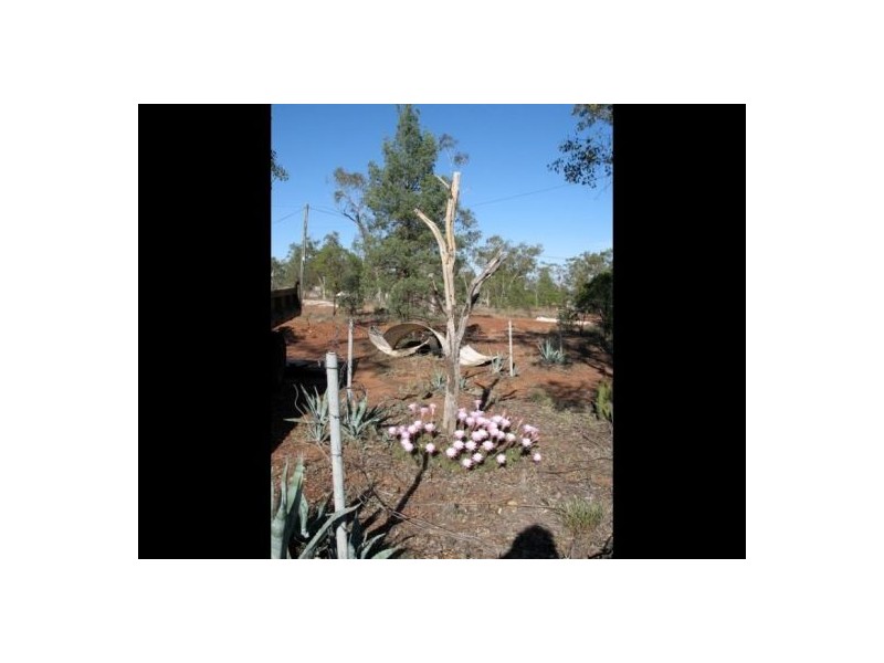125 Grawin Opal Field, Walgett NSW 2832