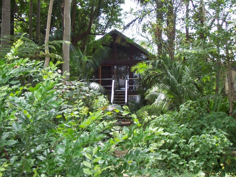 90 Riverside Crescent, Dulwich Hill NSW 2203