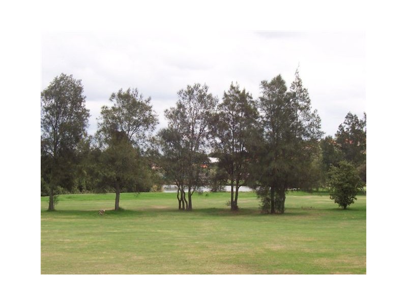 90 Riverside Crescent, Dulwich Hill NSW 2203