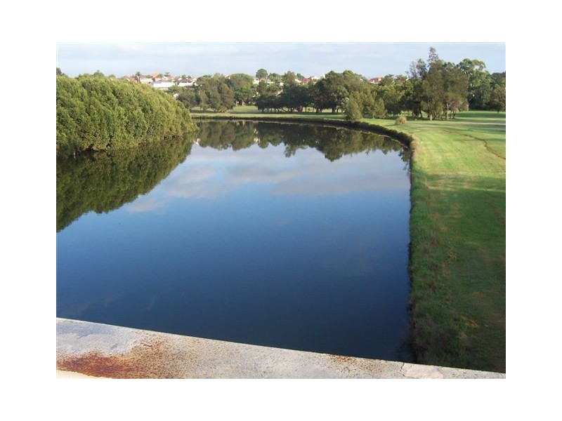 90 Riverside Crescent, Dulwich Hill NSW 2203