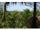 17 Anconia Avenue, Tweed Heads NSW 2485