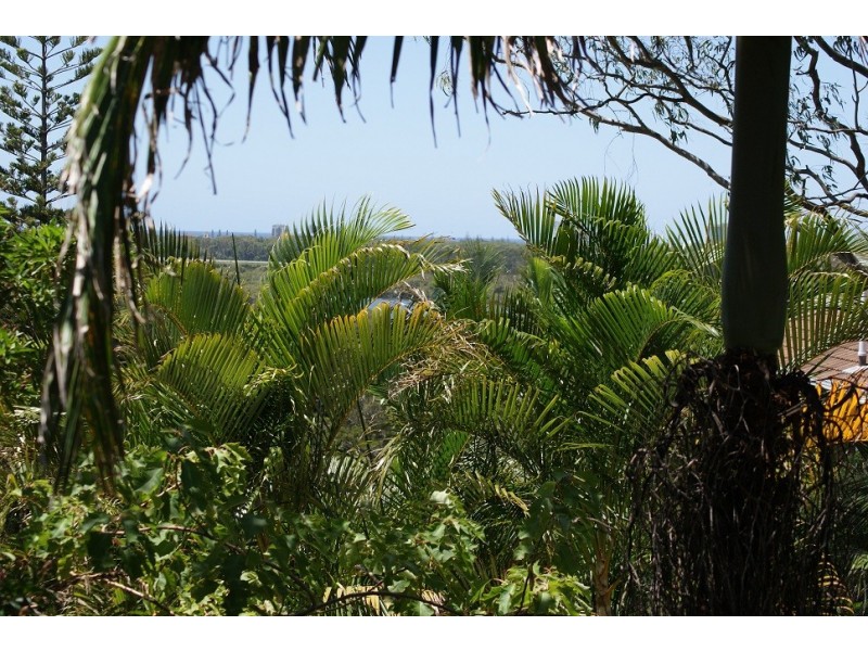 17 Anconia Avenue, Tweed Heads NSW 2485
