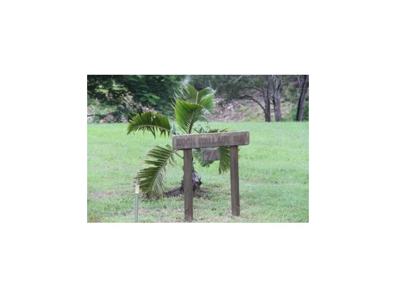 74 Domenica Drive, Sugarloaf QLD 4800