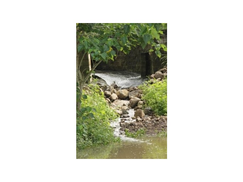 74 Domenica Drive, Sugarloaf QLD 4800