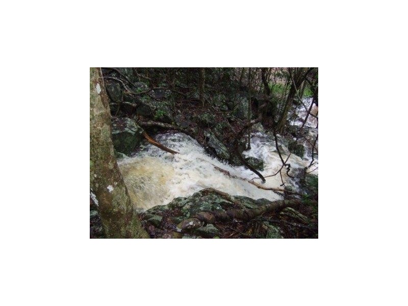 74 Domenica Drive, Sugarloaf QLD 4800