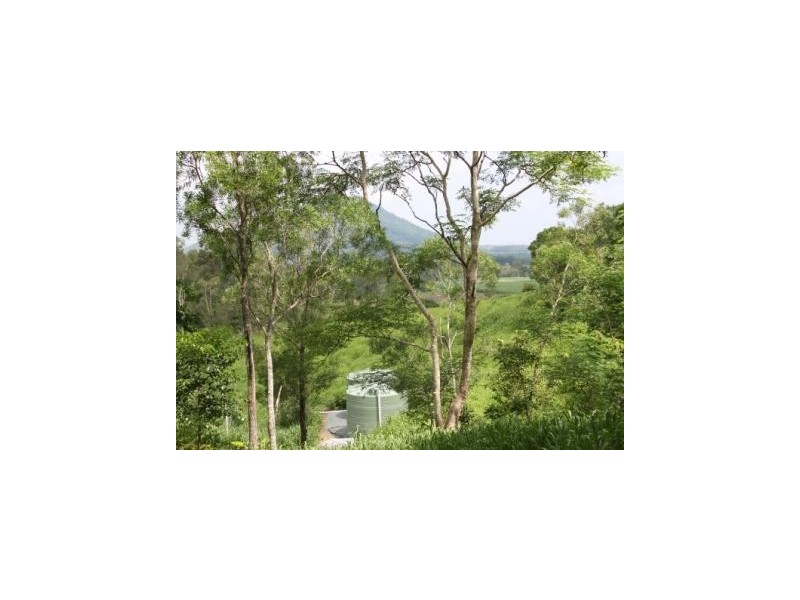74 Domenica Drive, Sugarloaf QLD 4800