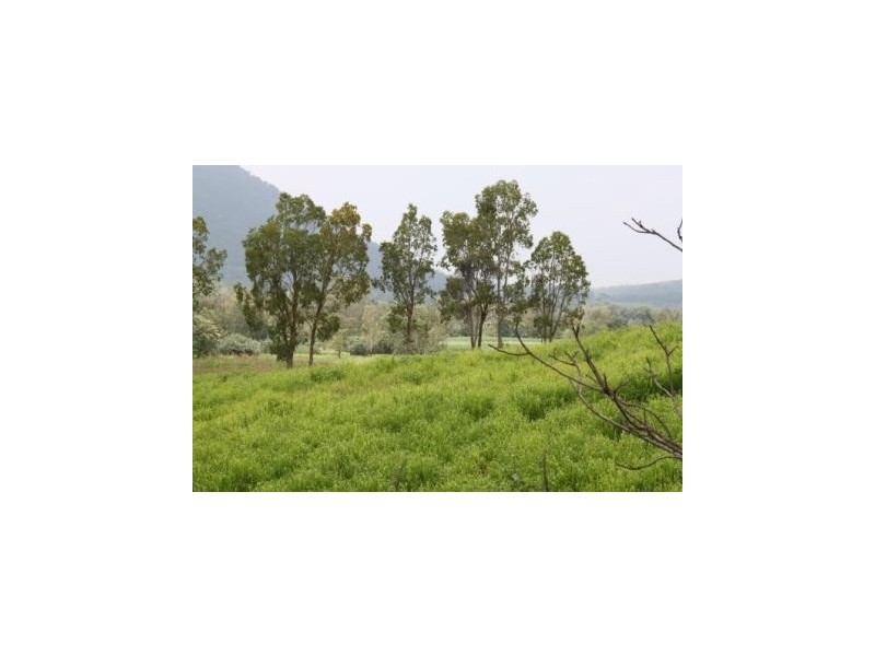 74 Domenica Drive, Sugarloaf QLD 4800