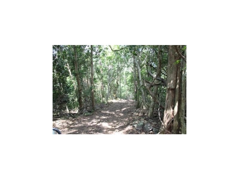 74 Domenica Drive, Sugarloaf QLD 4800