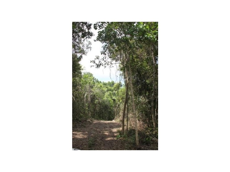 74 Domenica Drive, Sugarloaf QLD 4800