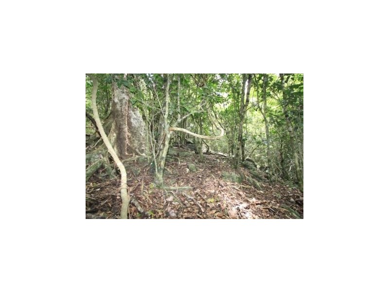 74 Domenica Drive, Sugarloaf QLD 4800