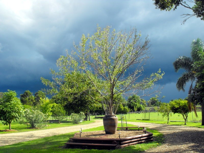 45 McAdam, Aberdeen NSW 2336