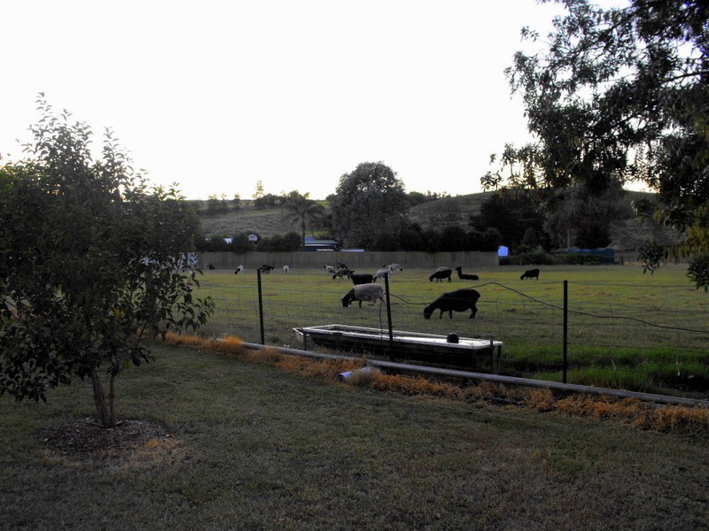 45 McAdam, Aberdeen NSW 2336