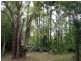 62 GOODCHAP STREET, Noosaville QLD 4566