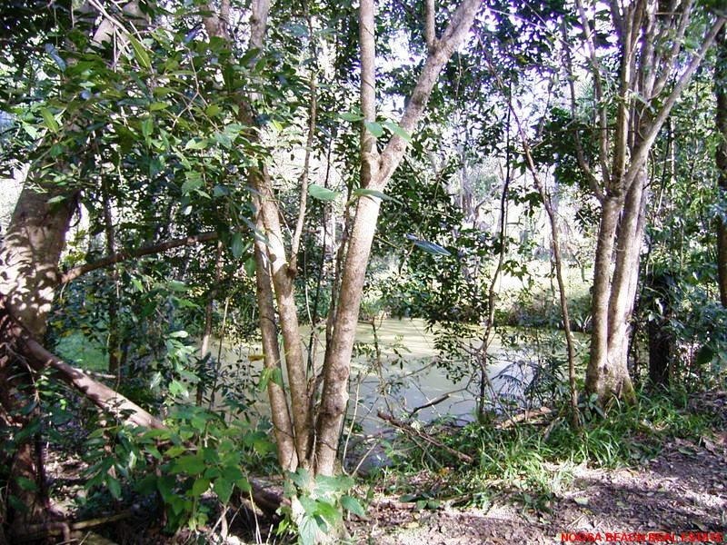 7 BANGALOW COURT, Cooroy QLD 4563