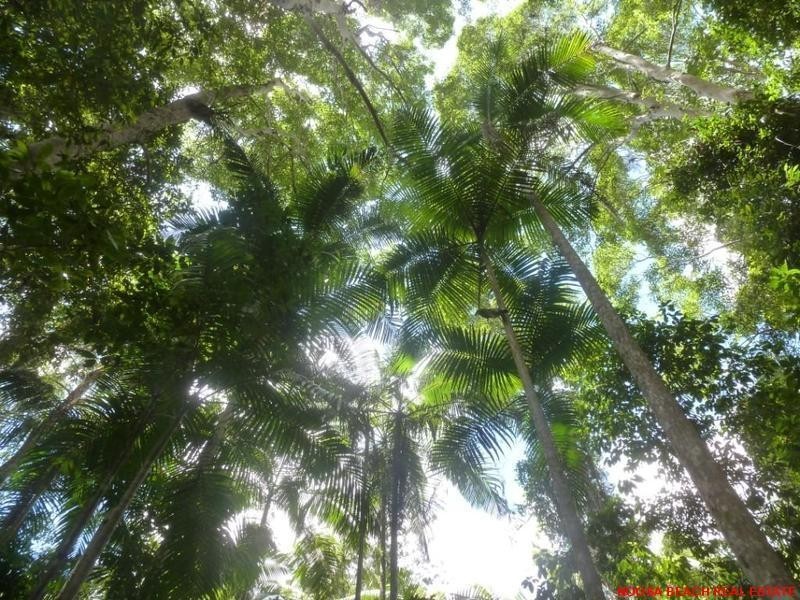 L36/63 FOREST RIDGE DRIVE, Doonan QLD 4562