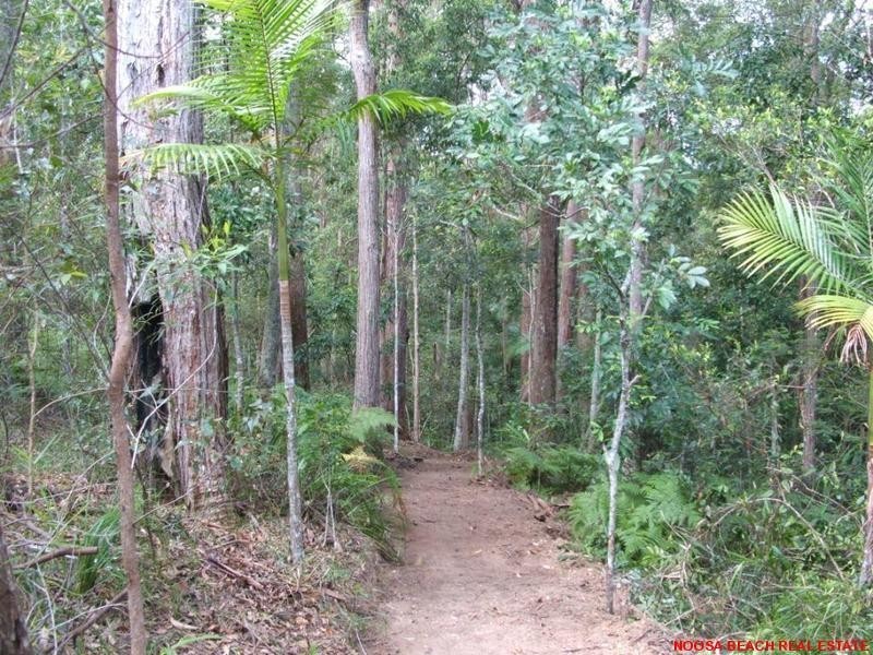 L36/63 FOREST RIDGE DRIVE, Doonan QLD 4562