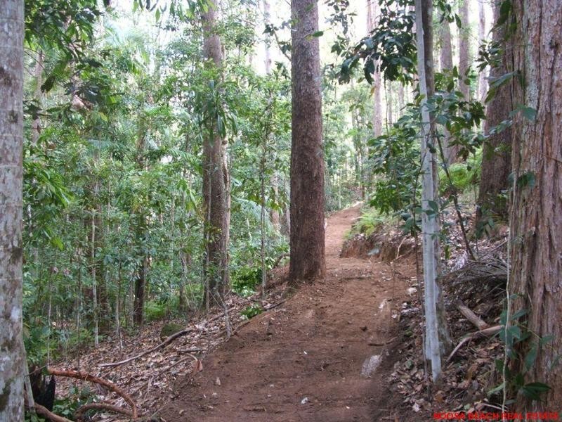 L36/63 FOREST RIDGE DRIVE, Doonan QLD 4562