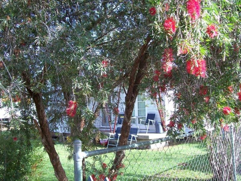 4 Moore St, Dirranbandi QLD 4486