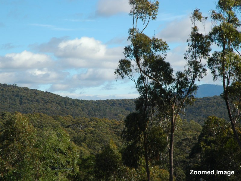 26 Adelaide Avenue, Wonboyn NSW 2551