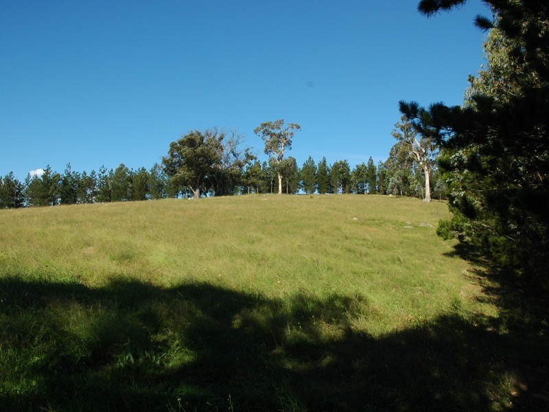 842 New Buildings Road, Wyndham NSW 2550