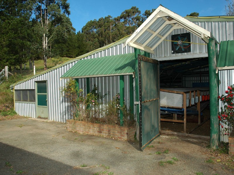 842 New Buildings Road, Wyndham NSW 2550
